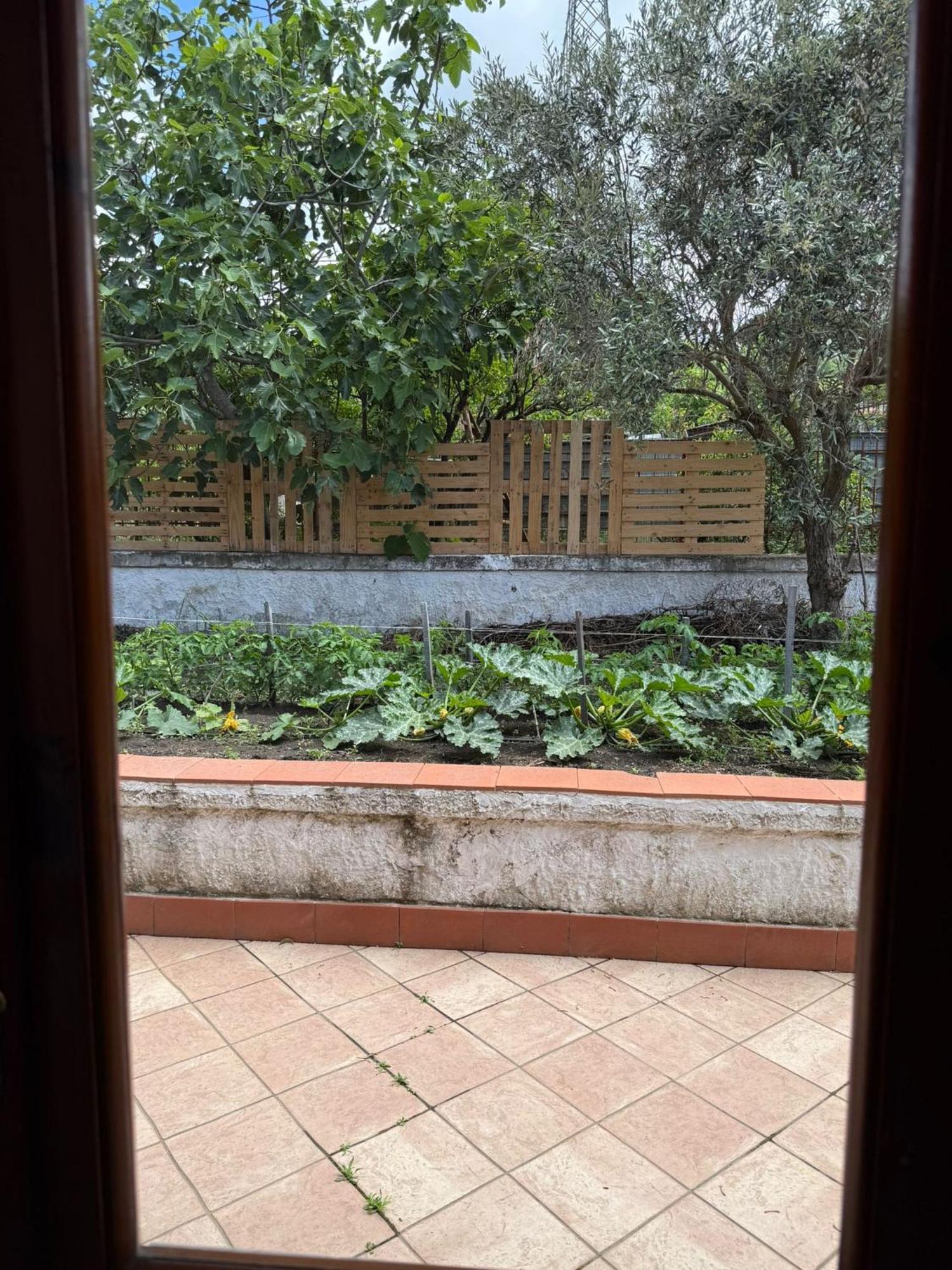 B&B Iolì Vesuvio Ercolano Exterior foto